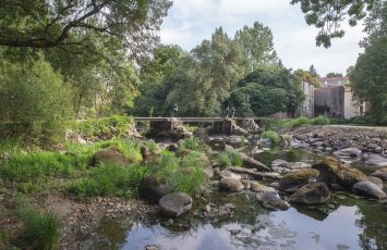 balade-nature-boussay-2025-destination-vignoble-nantais