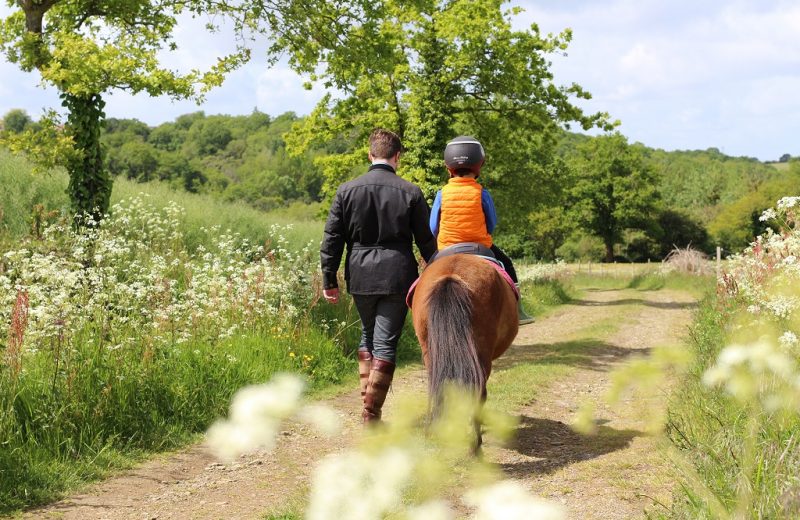 balade-poney-vignes-en-selle-enfants