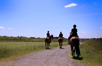 Promenade à cheval et initiation à la dégustation de vin