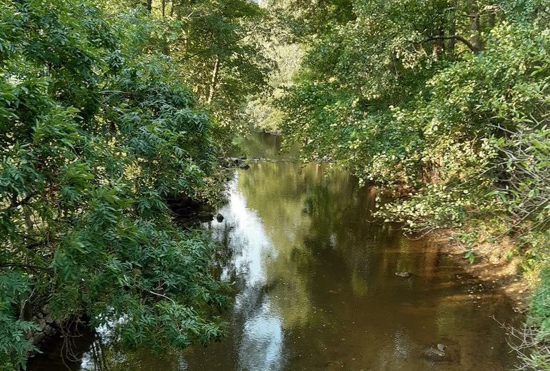 boucle de la sevre a la moine clisson (5)