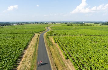 ROUTE DES VINS « VOYAGE DANS LE VIGNOBLE » DE NANTES A CLISSON