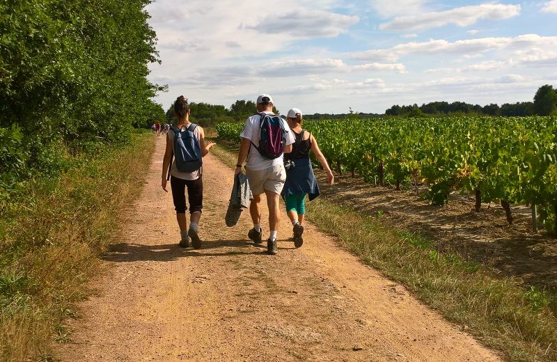 boucle pont caffino maisdon sur sevre (2)