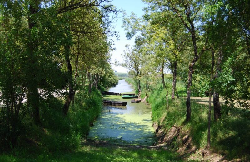 circuit-agrion-chapelle-heulin-levignobledenantes-tourisme(5) [1024×768]
