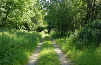 circuit-boucle-pedestre-vigners-en-villages-la-haye-fouassiere-44-ITI  (2)