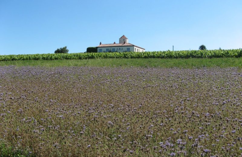 circuit-coteaux-vallet-levignoblenantes-tourisme (1)