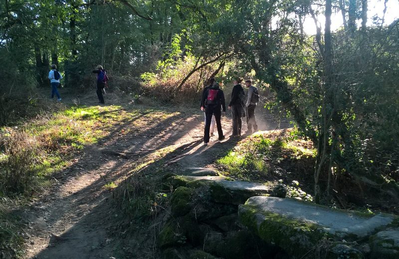 circuit des rochers boussay (2)