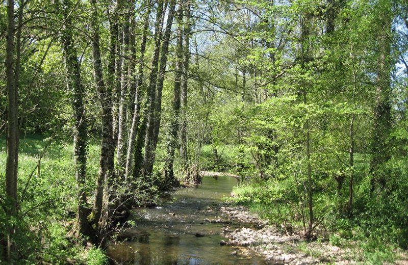 circuit-galloromain-mouzillon-levignobledenantes-tourisme