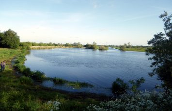 circuit-marais-haute-goulaine-levignobledenantes-tourisme