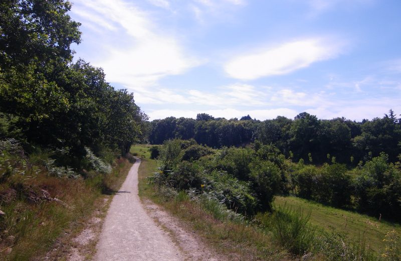 circuit rando croquis divatte sur loire  (1)