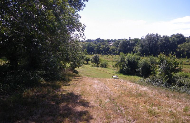 circuit rando croquis divatte sur loire  (5)