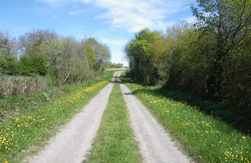 circuit-terres-vignes-st-lumine-clisson-levignoblenantes-touris (2)