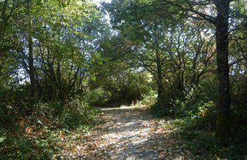 BOUCLE CIRCUIT ENTRE TERRES ET VIGNES