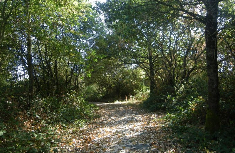 circuit-terres-vignes-st-lumine-clisson-levignoblenantes-touris (6)