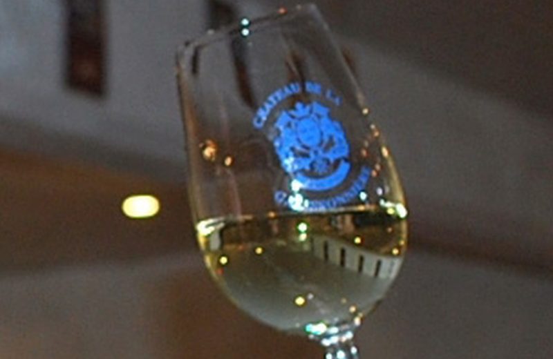 degustations-chateau-galissonniere-le-pallet-44-DEG- (2)
