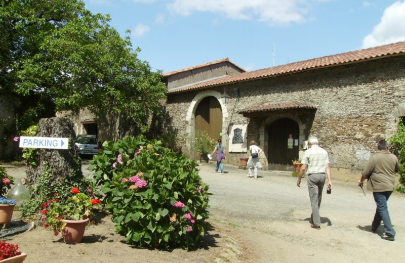 degustations-chateau-galissonniere-le-pallet-44-DEG- (4)