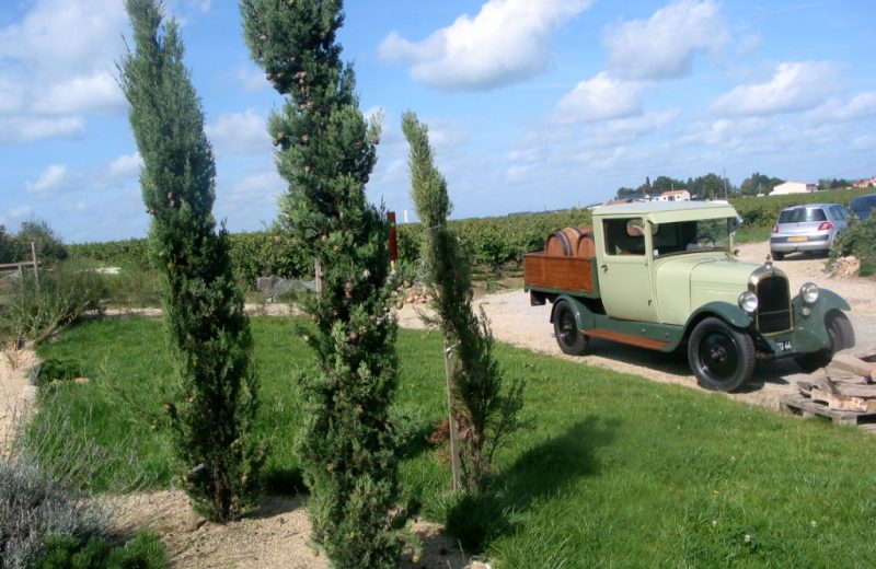 degustations-domaine-coeur-de-loire-la-chapelle-heulin-44-DEG-(3)