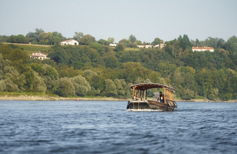 detours-en-loire-le-cellier-pays-ancenis-loire-nantes ©jeremyjehanin-43