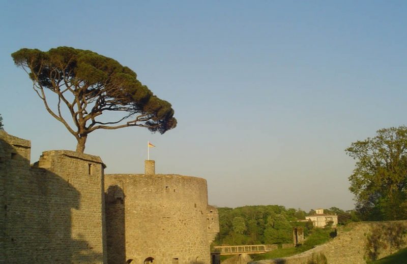 253652 – Clisson, le château