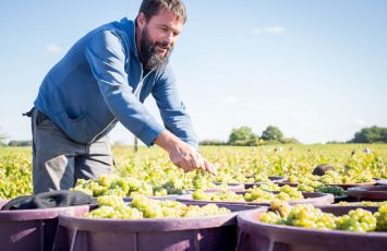 domaine bregeon visite degustation guide groupes 2020