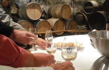 CHATEAU DE LA GALISSONNIERE VIGNOBLE LUSSEAUD