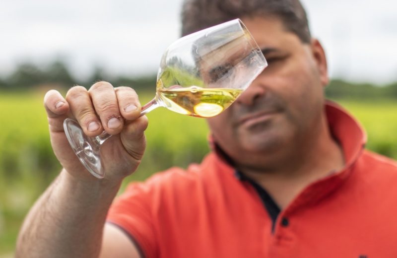Domaine Raphael Luneau, R de la grange.