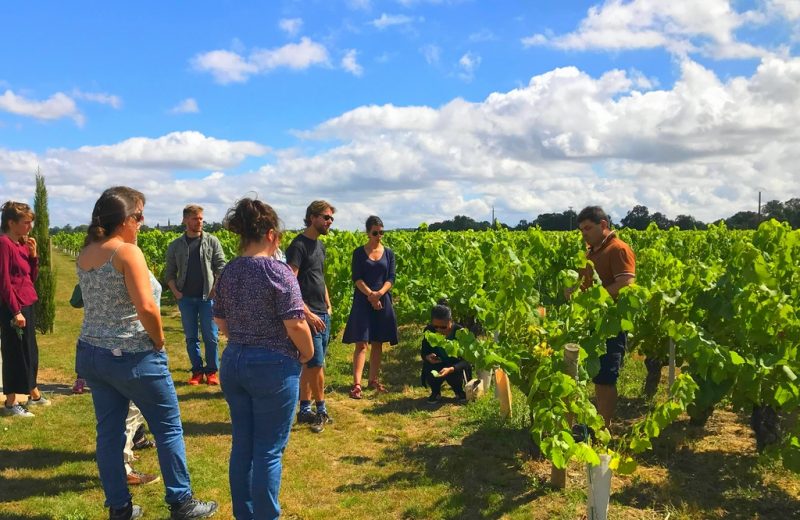 domaine raphael luneau-visite
