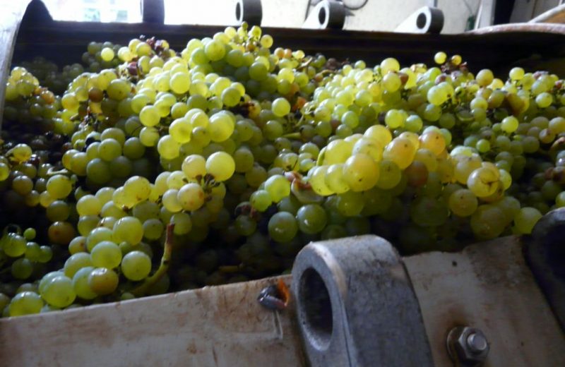 domaine topaze monnieres