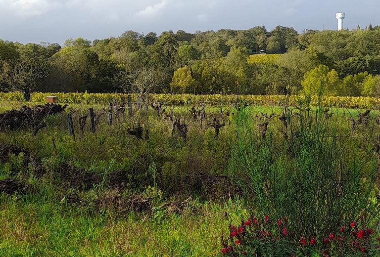 domaine trois versants paysage