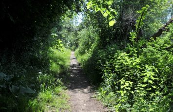 BENA – BALADE EN NATURE ACCOMPAGNÉE