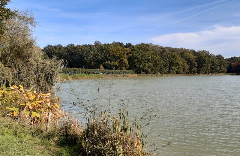 etang de stuilleries monnieres le vignoble de nantes tourisme3