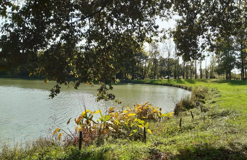 etang de stuilleries monnieres le vignoble de nantes tourisme4