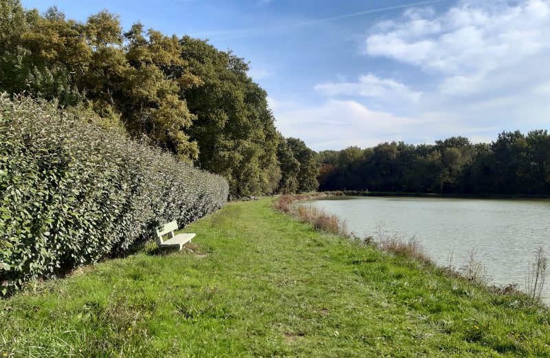 etang de stuilleries monnieres le vignoble de nantes tourisme7