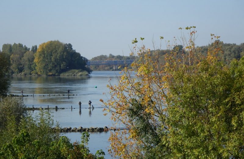 Application Baludik bords de Loire le vignoble de nantes tourisme