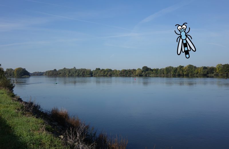 Application Baludik bords de Loire le vignoble de nantes tourisme