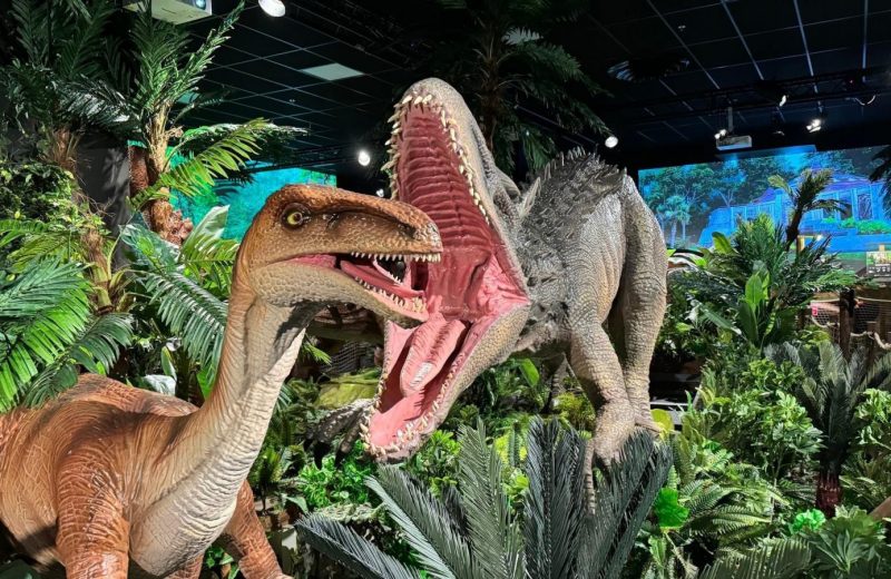 L’exposition itinérante “Le Monde des Dinosaures »