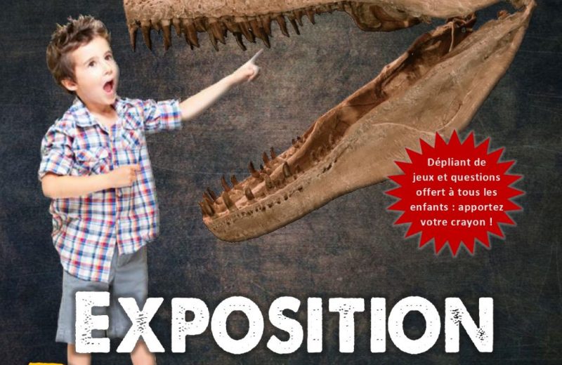 expodinosauregetigne-2024-levignobledenantes-tourisme