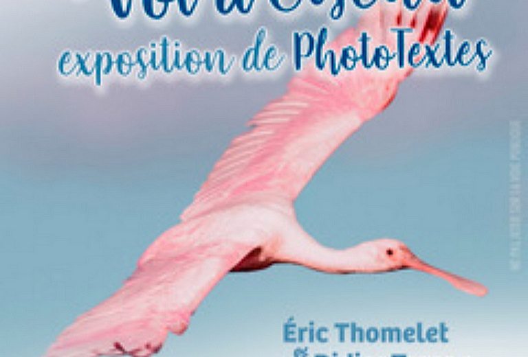 exposition maison bleue 2024 haute goulaineEric Thomelet