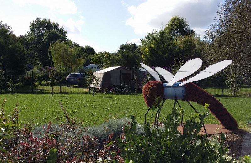 2018-camping-du-chene-st-julien-de-concelles-44-levignobledenantes-tourisme
