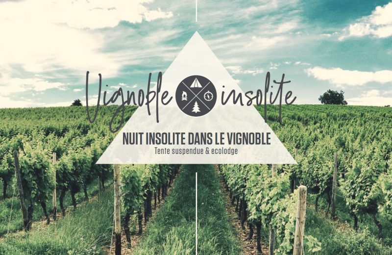 vignoble-insolite-vallet-44