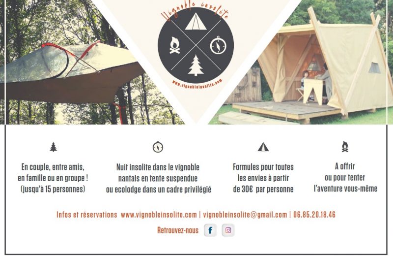 vignoble-insolite-1-vallet-44