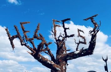 LE SITE DU FESTIVAL HELLFEST