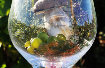 Initiation dégustation 3 cuvées domaine menard gaborit le vignoble de nantes