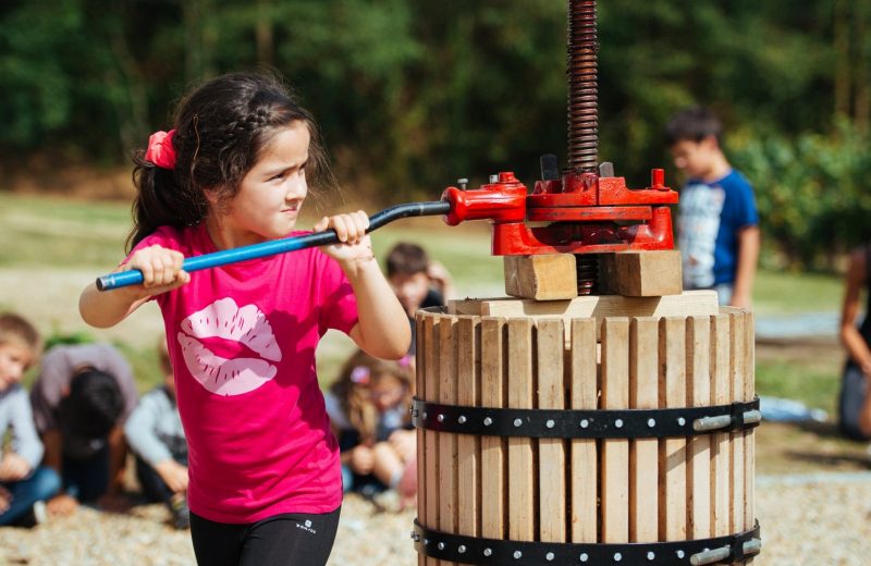 juniors metiers savoir faires atelier vendanges