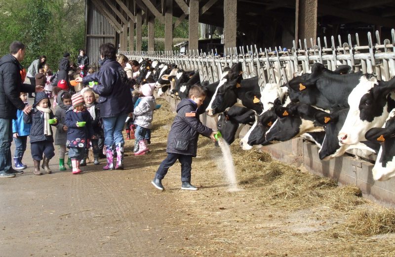 ferme-la-pequiniere-la-boissiere-dore-44