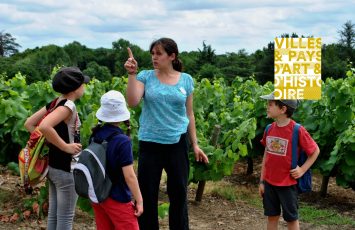 juniors paysages et developpement durable les vignes