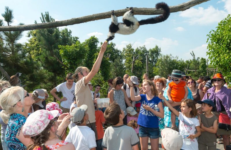 juniors paysages et developpement durable zoo de la boissiere du dore