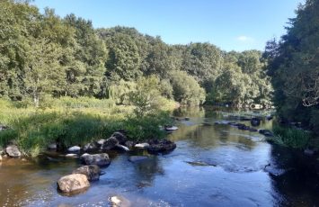 murmures-rochers-arbres-palabres-levignobledenantes-tourisme