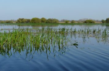 LES MARAIS DE GOULAINE