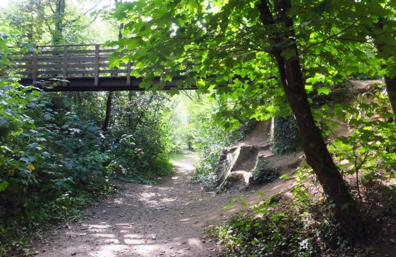 La passerelle.