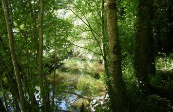 Vallée de la Sanguèze au Pallet